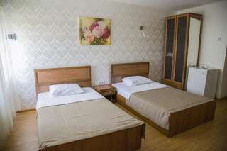 Отель VIP Hotel Измаил Стандартный двухместный номер с 2 отдельными кроватями-2